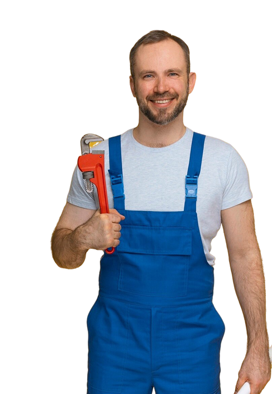 Professional Plumber